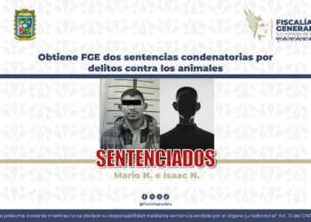 Obtiene FGE dos sentencias condenatorias por delitos contra los animales