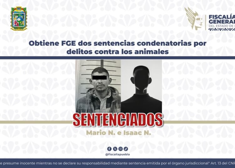 Obtiene FGE dos sentencias condenatorias por delitos contra los animales