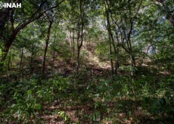 Exploran el Yesal, una de las ciudades mayas más grandes de las tierras bajas centrales