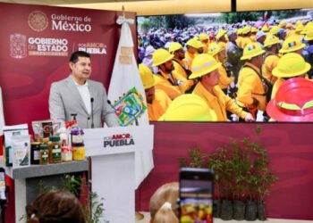 Rescate del Izta-Popo impulsa reforestación nacional con apoyo de la Presidenta Sheinbaum
