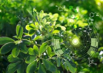 El lenguaje de las plantas