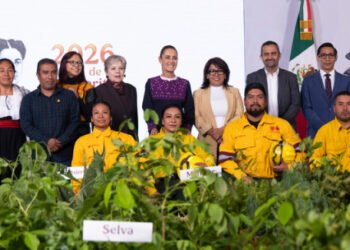 Presidenta presenta la Jornada Nacional de Reforestación 2026; se realizará el 9 de agosto y se plantarán 6.6 millones de árboles y plantas