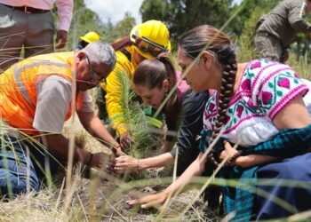 Presidenta Claudia Sheinbaum encabeza inicio de la Jornada Nacional de Reforestación 2026