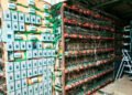 FGR, Marina y SSP aseguran inmueble presuntamente utilizado para minería de criptomonedas