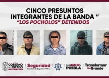 Detiene SSP a una integrante más de “Los Pocholos” en posesión de droga