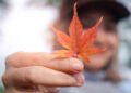 EL SIGNIFICADO ESPIRITUAL DEL EQUINOCCIO DE OTOÑO EN LA VIDA MODERNA