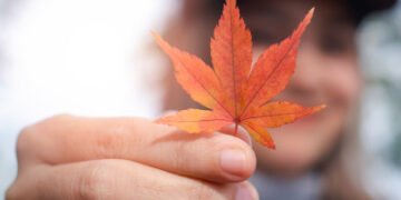 EL SIGNIFICADO ESPIRITUAL DEL EQUINOCCIO DE OTOÑO EN LA VIDA MODERNA