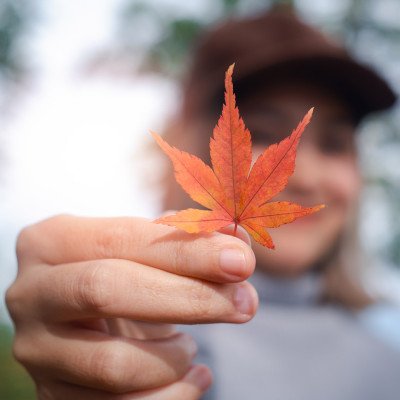 EL SIGNIFICADO ESPIRITUAL DEL EQUINOCCIO DE OTOÑO EN LA VIDA MODERNA