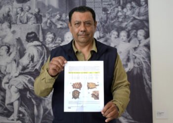 Investigadores BUAP registran nuevos ejemplares de tortuga en el estado de Puebla